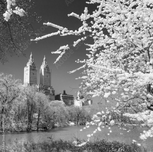 Fotoboard na płycie Central Park, New York City. 