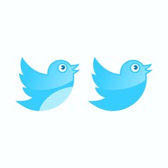 Internet social media follow bird icon