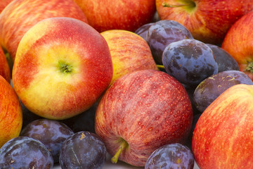 Poster - fresh apples and plums