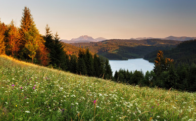 Wall Mural - Lake and forest - Nova Bystrica dam