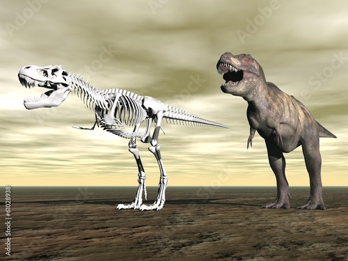 Fotoboard na płycie Tyrannosaurus rex - 3d render