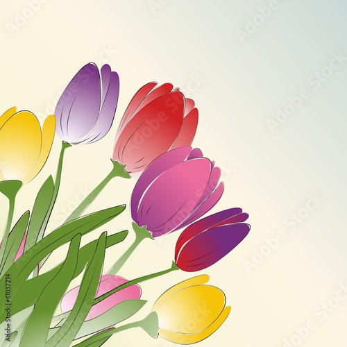 Fototapeta na wymiar card with colorful hand drawn tulips