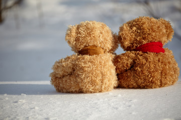 two teddy bears on a snow around each