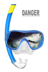 Wall Mural - Dive Mask with shark reflecting on a glass. Insurance concept.