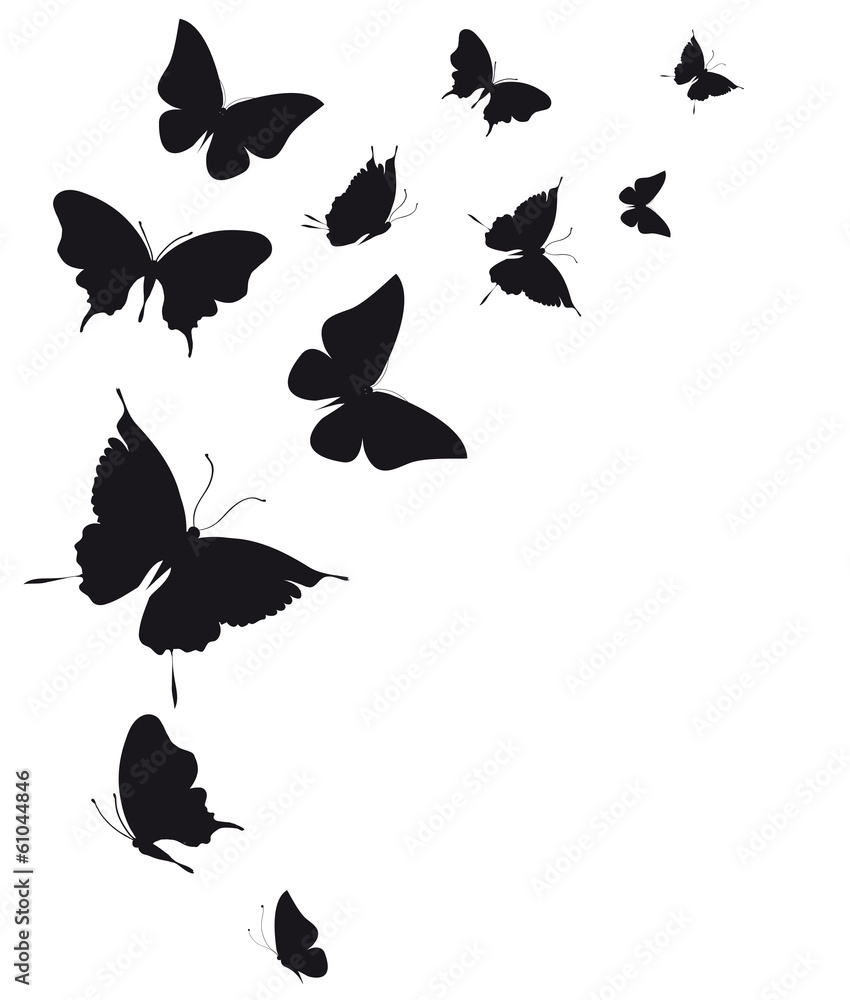 butterflies design - obrazy, fototapety, plakaty 