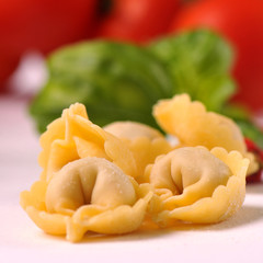 Wall Mural - tortellini