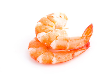 Sticker - Shrimp