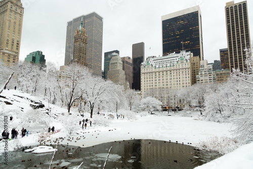 Fotoboard na płycie Nowy Jork Central Park w śniegu panoramę Manhattanu
