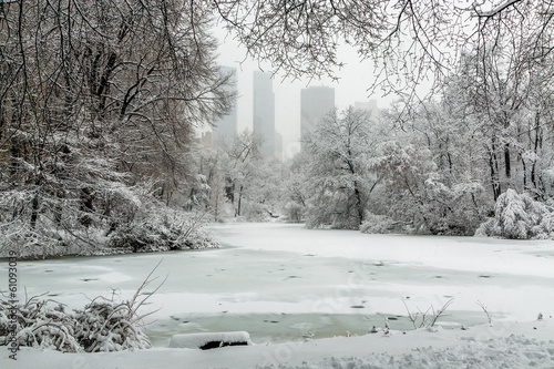 Fotoboard na płycie New york central park w śniegu staw
