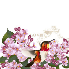 Wall Mural - Beautiful vector  pattern with lilac flowers and hummingbird