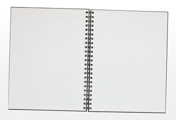 Blank ring binder pad border