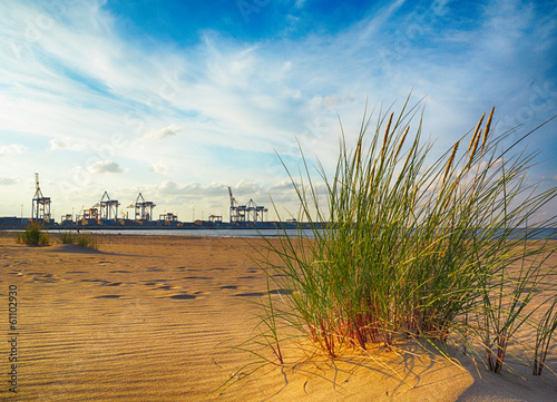 Naklejka samoprzylepna Morze Bałtyckie wydmy trawiaste i port rzeczny gdańsk, polska