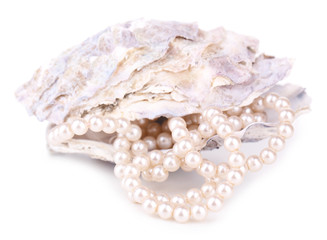 Canvas Print - Shell with pearls, isolated on white