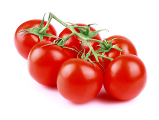 Poster - Tomato branch isolated on white.