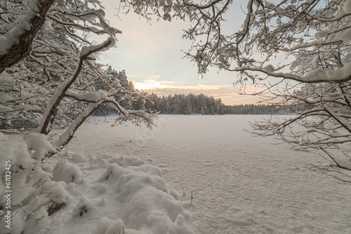 Tapeta ścienna Zimowe jezioro drewna