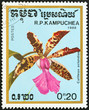 Cattleya aclandiae orchid (Kampuchea 1988)