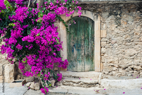 Fototapeta na wymiar Stare drewniane drzwi w kamiennym murze i winorośl z fioletowymi kwiatami bougainvillea