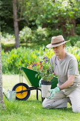 Mature man engaged in gardening