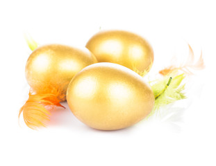 Wall Mural - golden egg in nest