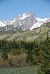 Wall Mural - Hallett Peak in Rocky Mountain National Park, Colorado, USA