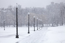 Snowfall In Boston