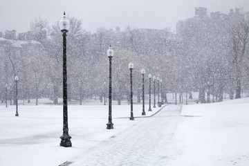 Snowfall in Boston