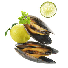 Wall Mural - Mussels  With Garlic Sauce