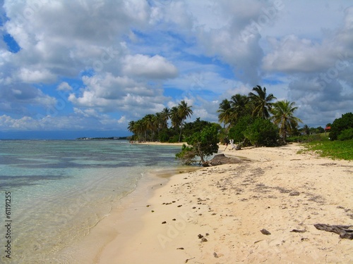 Plage De Bois Jolan Guadeloupe Buy This Stock Photo And