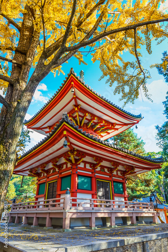 Tapeta ścienna Tahoto pagoda w kompleksie chion-in w Kioto