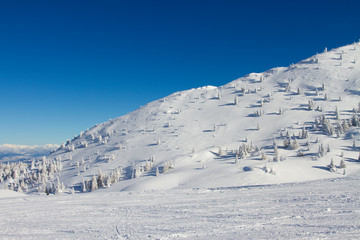 Sticker - Snowy landscape