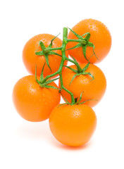 ripe orange tomatoes in drops of water isolated on a white backg