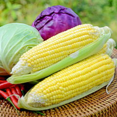 Asian Mixed of Fresh Vegetables on Natural Green Background.