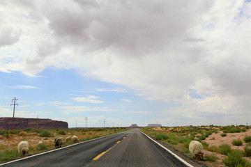 Wall Mural - mouton sur la route 66, Arizona