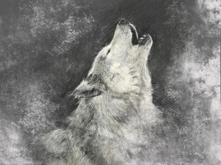 Naklejka na meble Wolf, handmade illustration on grey background