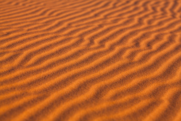  Sand dunes in Western Sahara Desert, Morocco