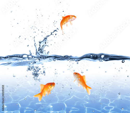 Naklejka - mata magnetyczna na lodówkę goldfish jumping out of the water - escape concept