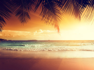 Wall Mural - sunset on the beach of caribbean sea
