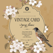 Spring Elegant Vector Vintage Card