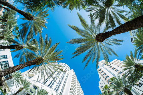 Fotoboard na płycie Plaża Miami