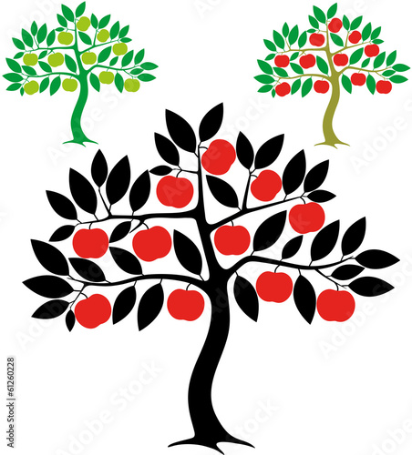 Nowoczesny obraz na płótnie Apple Tree