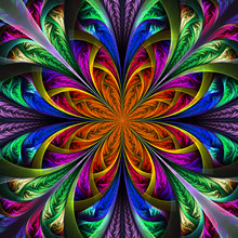 Beautiful Multicolor Fractal Flower. Computer Generated Graphics