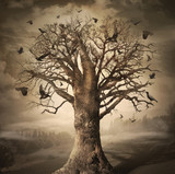 Magic Tree with Crows