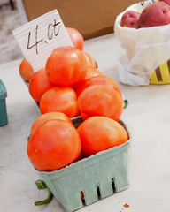 Tomatoes In Winter