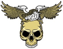 Eagle And Skull