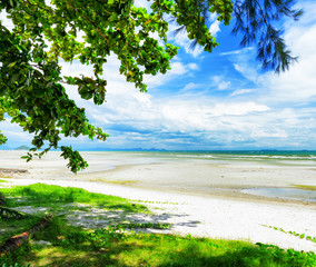 Poster - Beautiful tropical landscape. Samui Island, Thailand