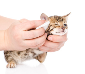 Sticker - veterinary surgeon wipes eyes to a cat. isolated on white 