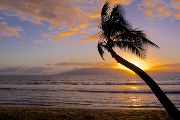 Poster - Tropical Island Sunset