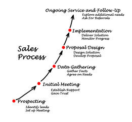 Canvas Print - Sales Process