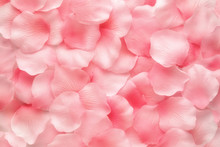 Pink Rose Petals Free Stock Photo Public Domain Pictures Pink Rose Petals Free Stock Photo Public Domain Pictures