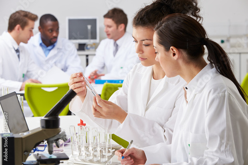 Fotografie, Obraz Group Of Technicians Working In Laboratory